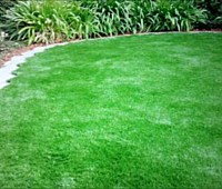 Synthetic Turf