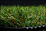 ABSOLUTE SD FESCUE